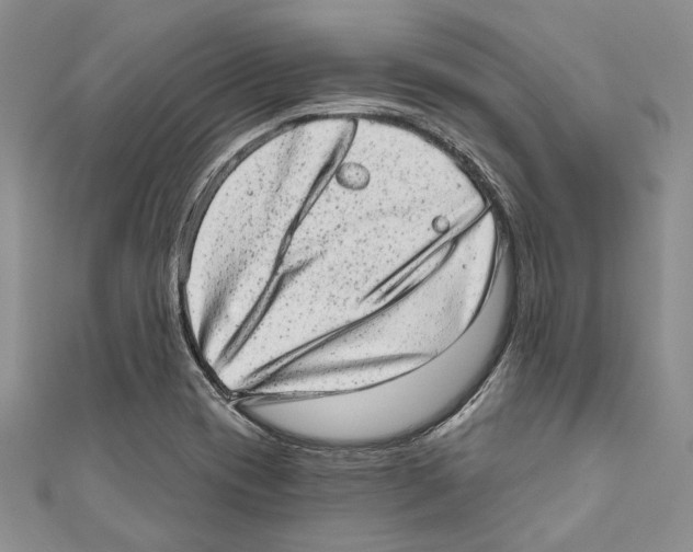 X0000110961417200907171640