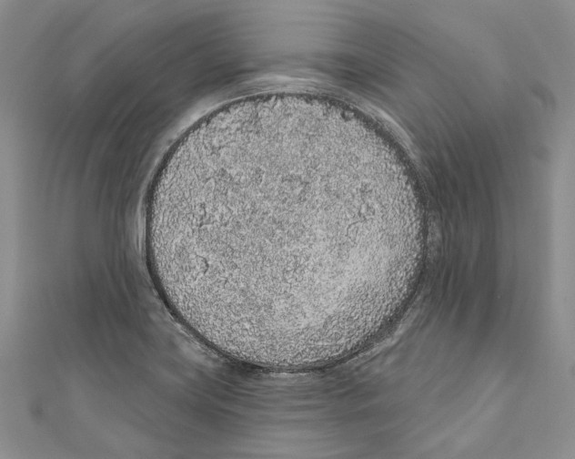 X0000110961419200907171640