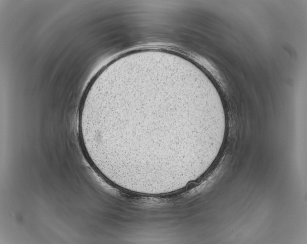 X0000110961420200907171640