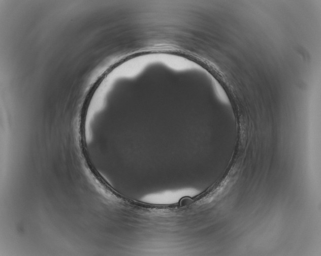 X0000110961422200907171640