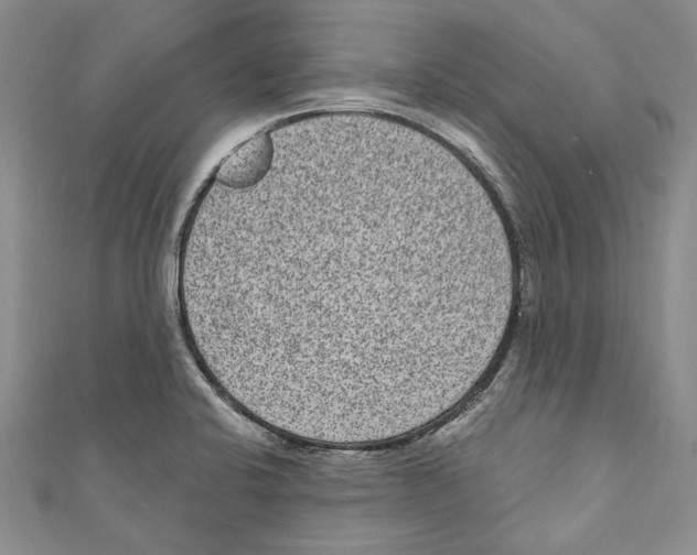 X0000110961424200907171640