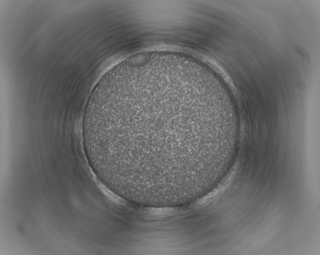 X0000110961425200907171640