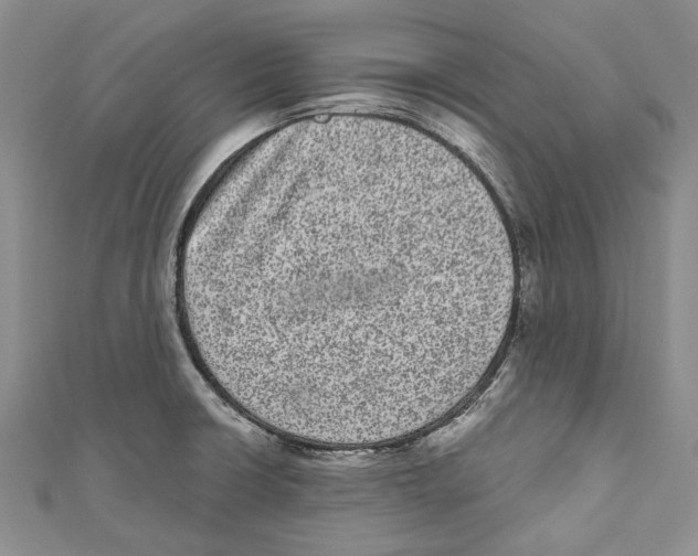 X0000110961426200907171640