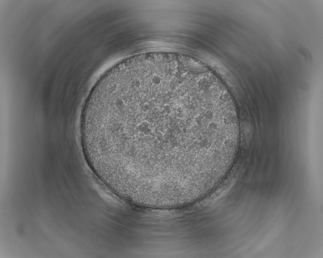 X0000110961427200907171640