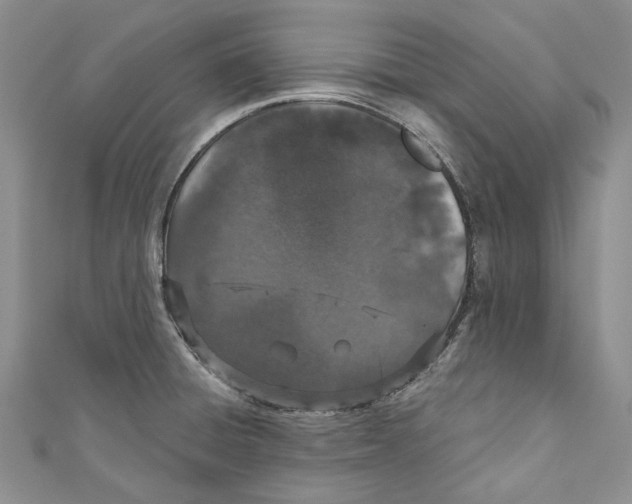 X0000110961428200907171640