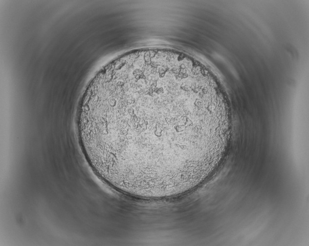 X0000110961429200907171640