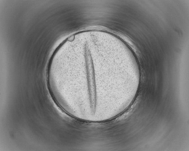 X0000110961430200907171640