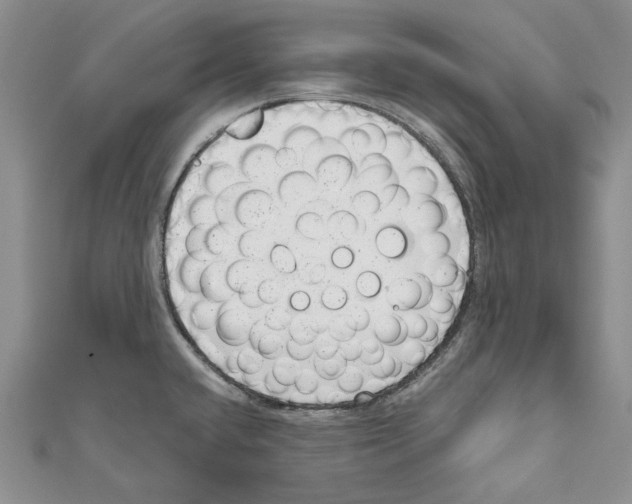 X0000110961432200907171640