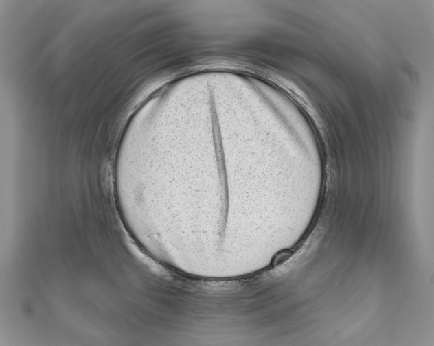 X0000110961433200907171640