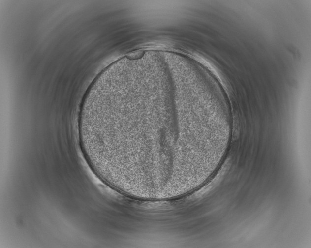 X0000110961434200907171640