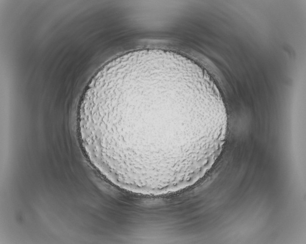 X0000110961435200907171640