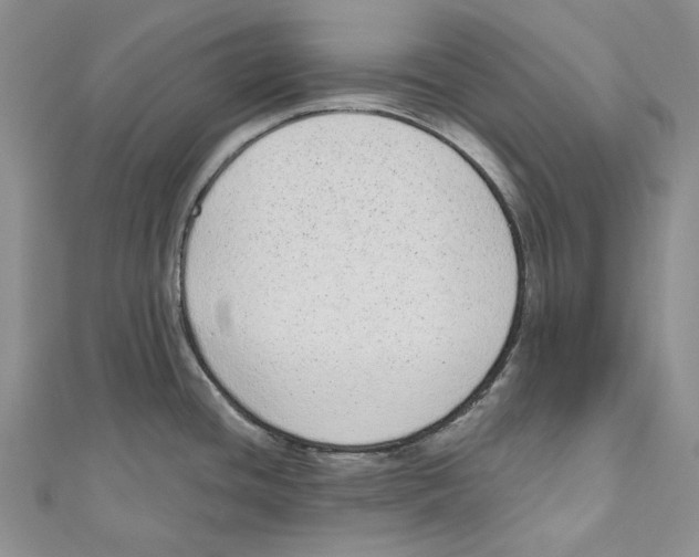 X0000110961436200907171640