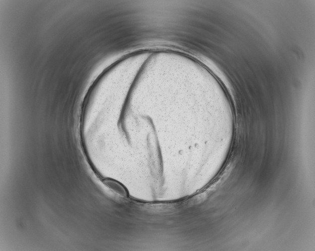 X0000110961437200907171640