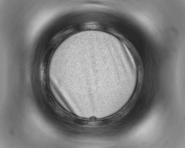 X0000110961438200907171640