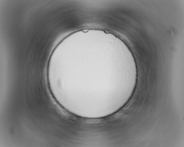 X0000110961440200907171640