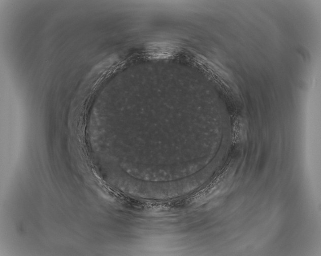 X0000110961441200907171640