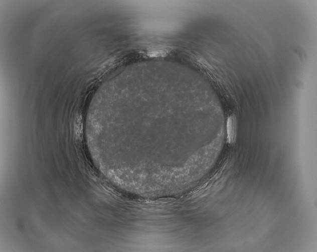 X0000110961443200907171640