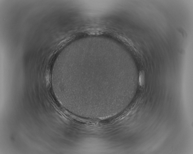 X0000110961444200907171640