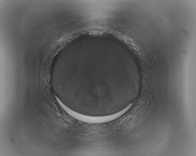 X0000110961445200907171640