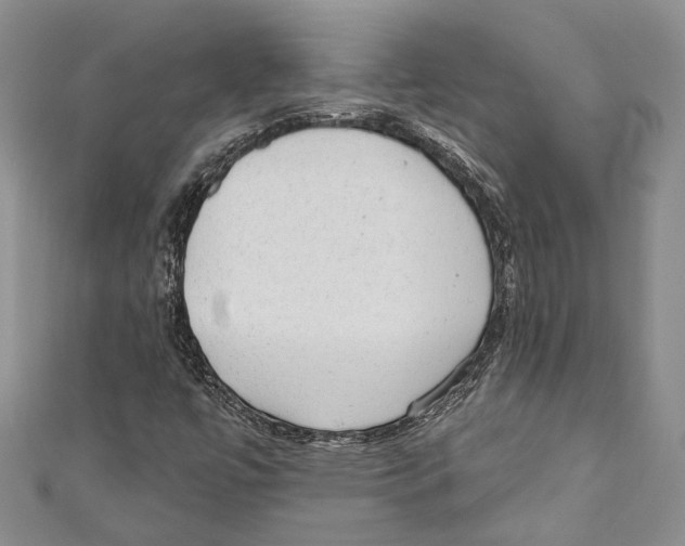 X0000110961447200907171640