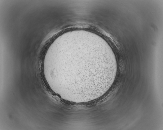 X0000110961448200907171640