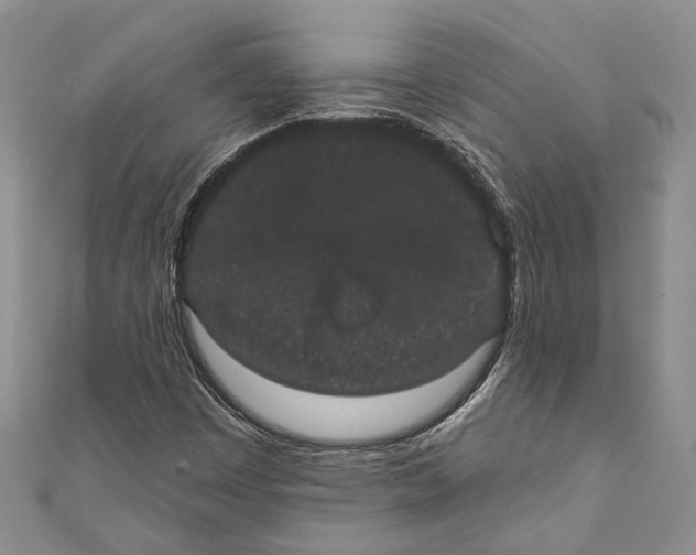 X0000110961449200907171640