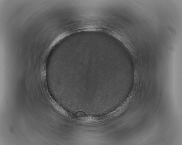 X0000110961450200907171640