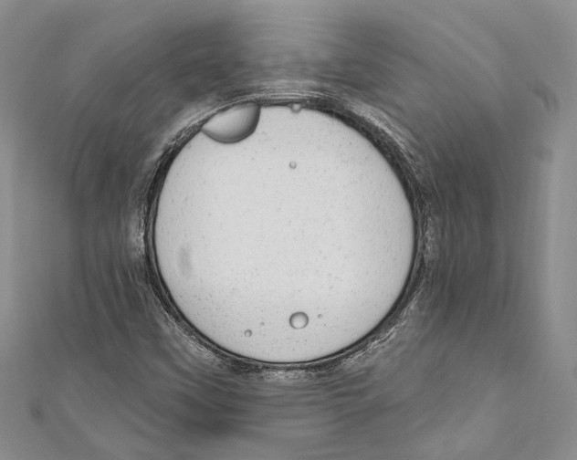 X0000110961451200907171640