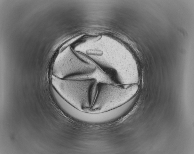 X0000110961453200907171640