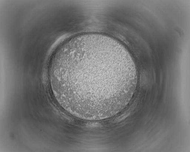 X0000110961454200907171640