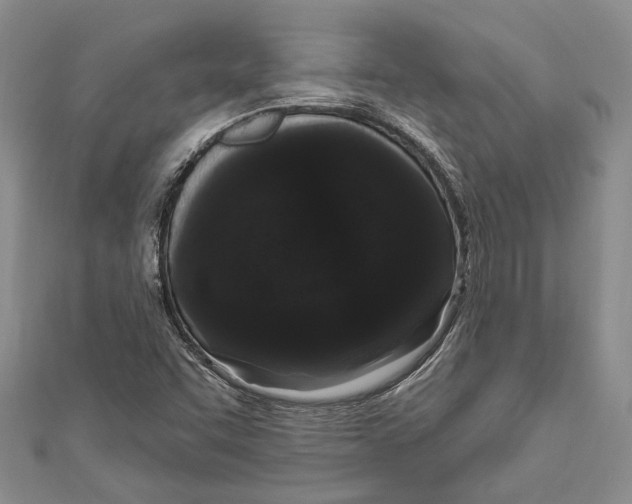 X0000110961455200907171640