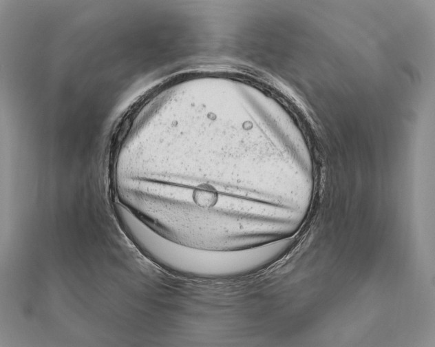 X0000110961456200907171640