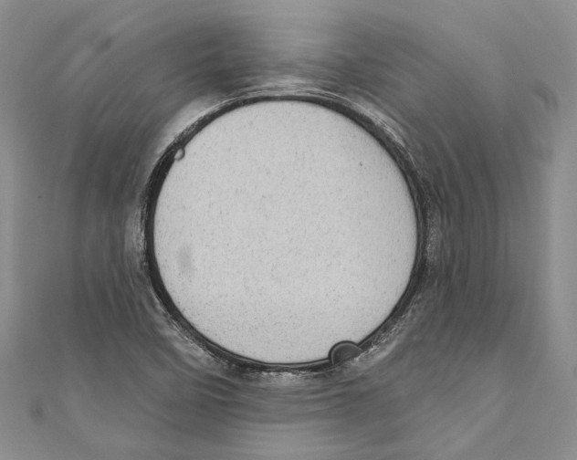 X0000110961458200907171640