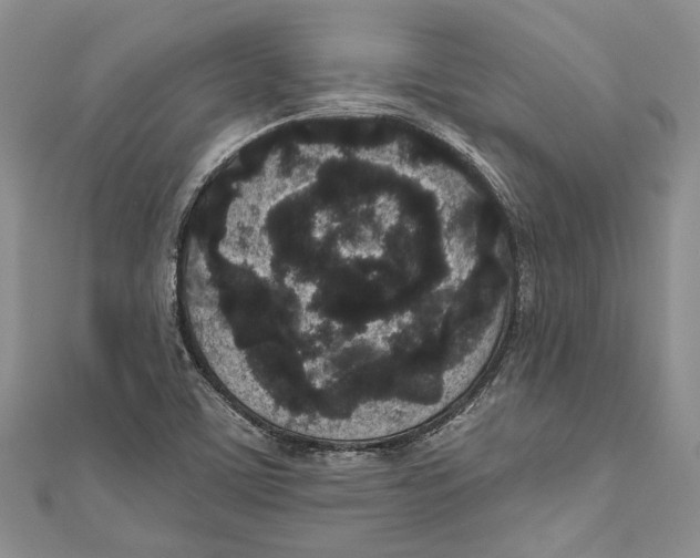 X0000110961459200907171640