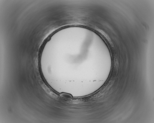 X0000110961460200907171640