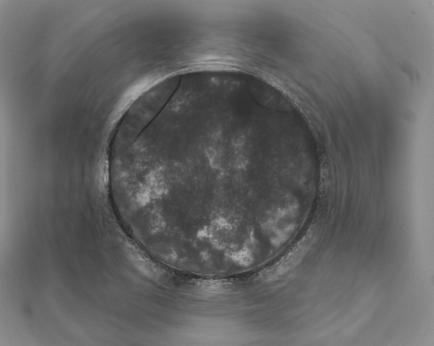 X0000110961461200907171640