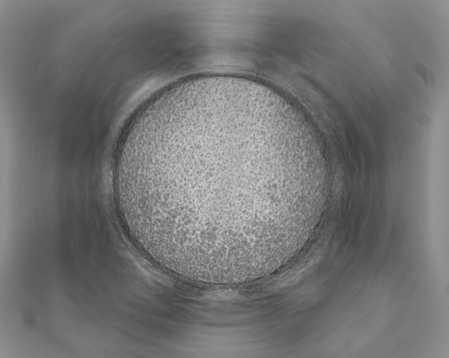 X0000110961462200907171640