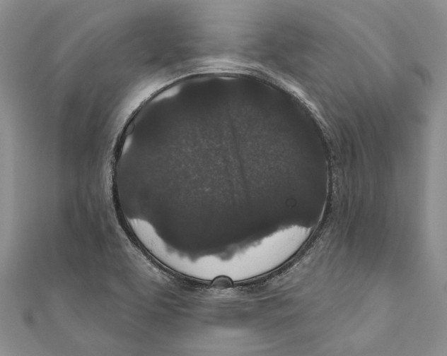 X0000110961463200907171640