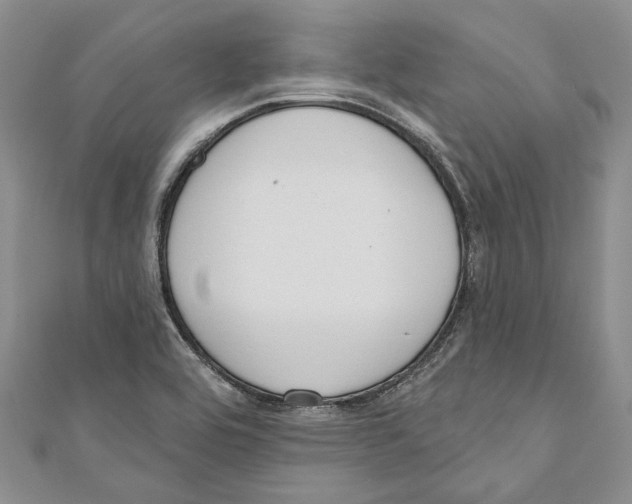 X0000110961464200907171640