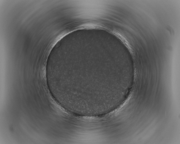 X0000110961465200907171640