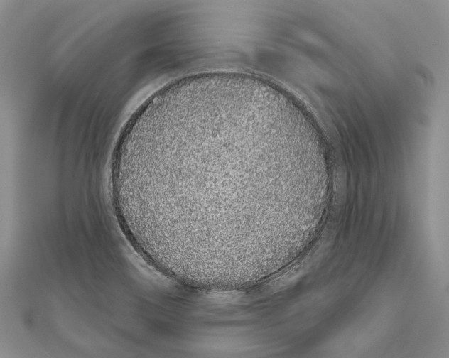 X0000110961466200907171640