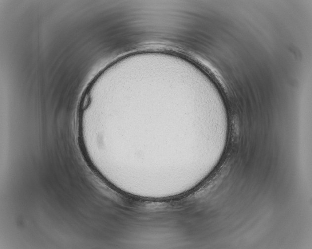 X0000110961467200907171640