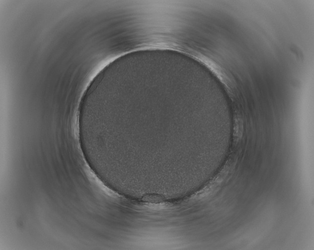 X0000110961468200907171640