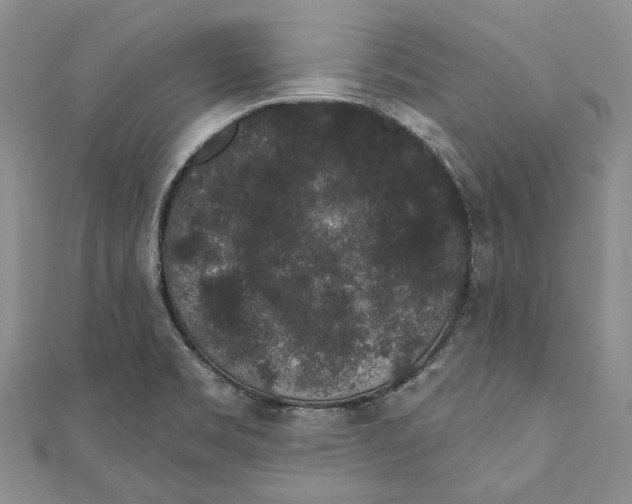 X0000110961469200907171640