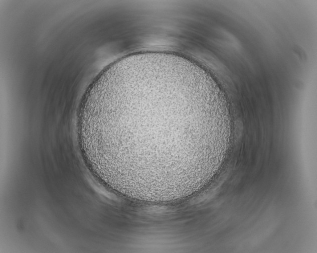 X0000110961470200907171639