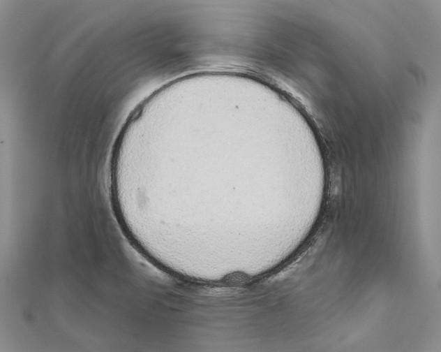 X0000110961471200907171639