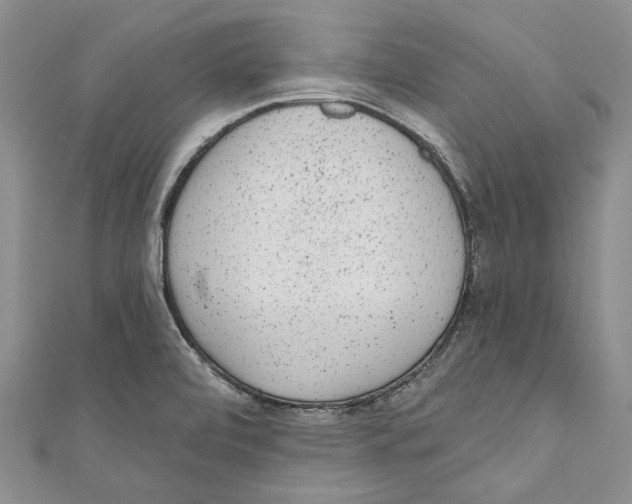 X0000110961472200907171639