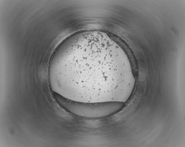 X0000110961473200907171639