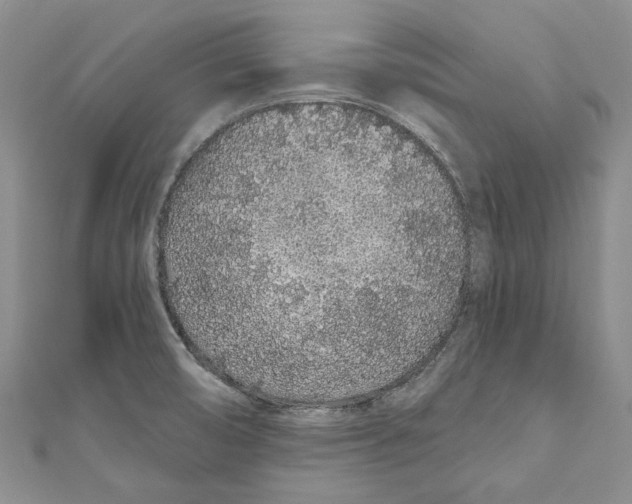 X0000110961474200907171639