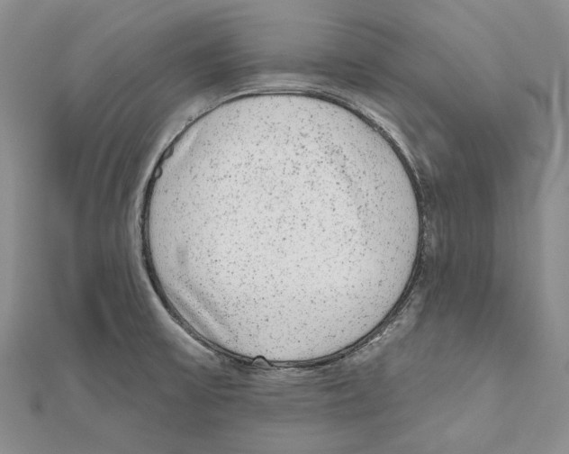 X0000110961475200907171639